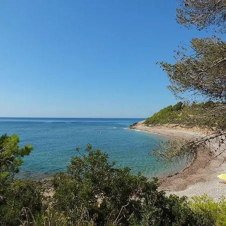 Violeta Villa