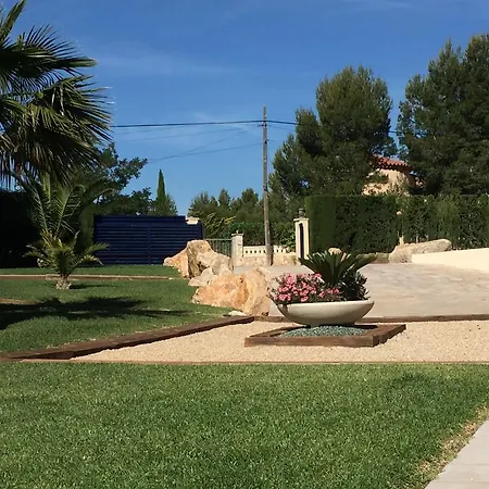 Violeta Villa